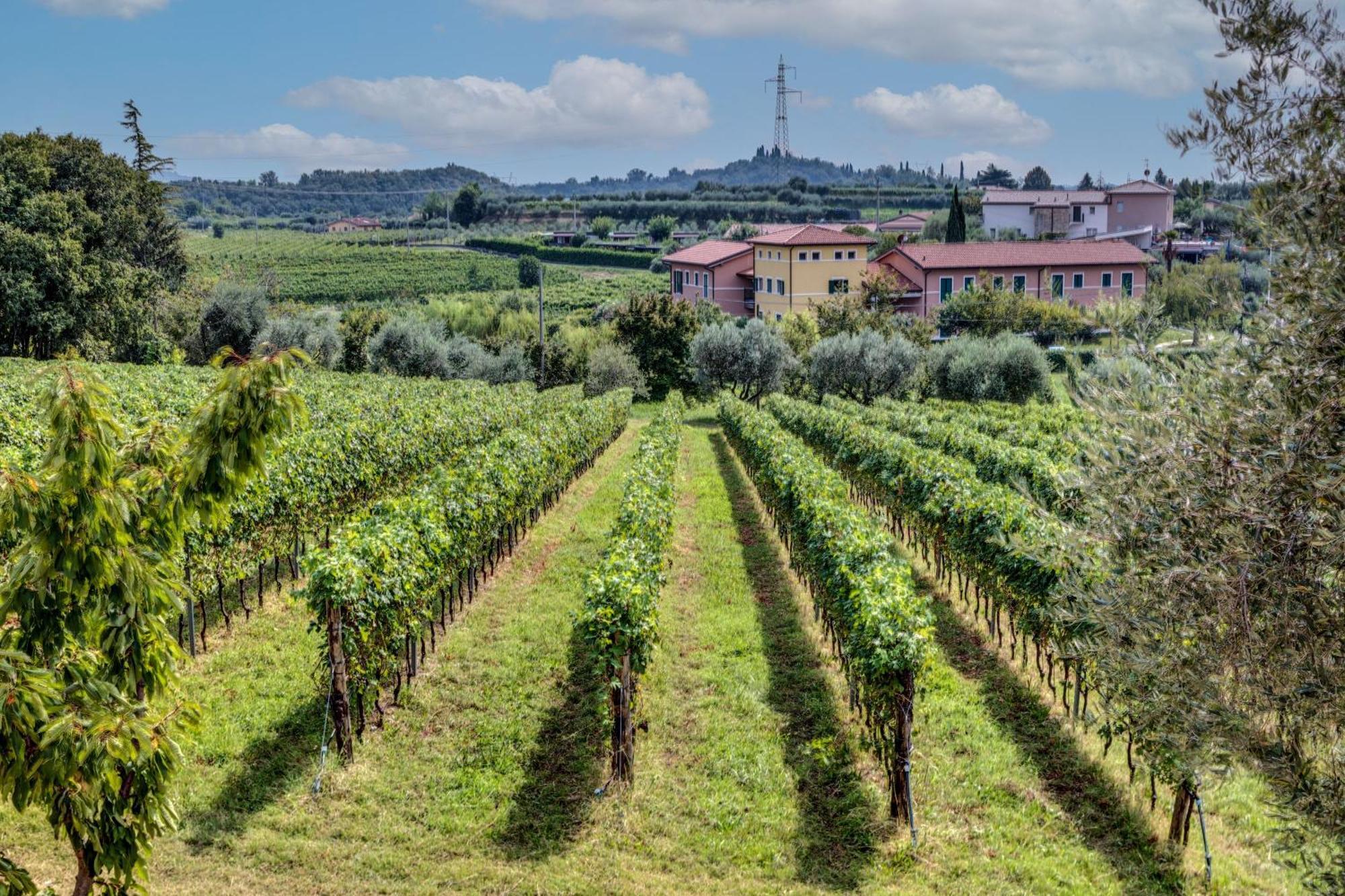 Tenuta Di Palu Bardolino Zewnętrze zdjęcie